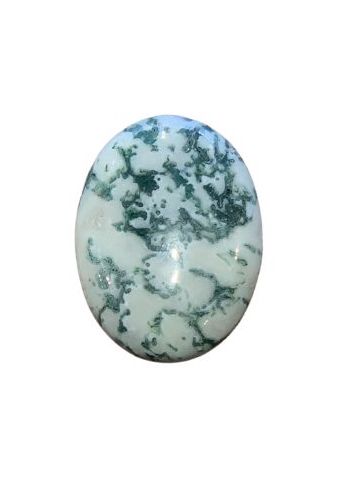 25x18 Tree Agate Gemstone